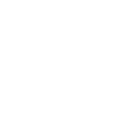 ce logo Santa Monica